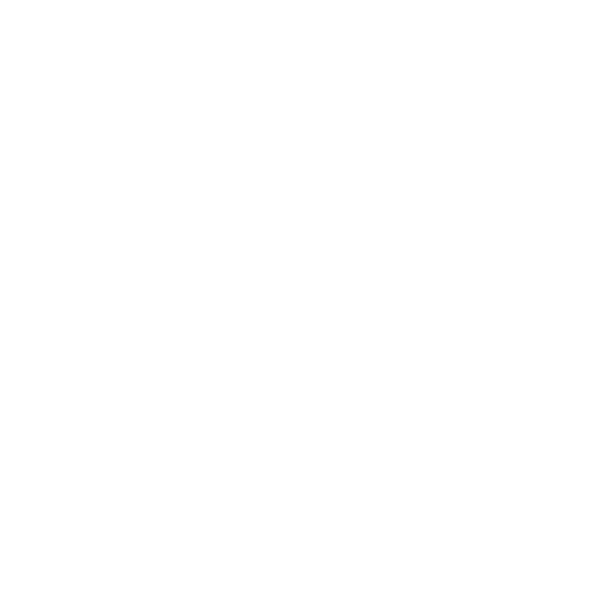 Visa -logo-Clientes-APEX-Group